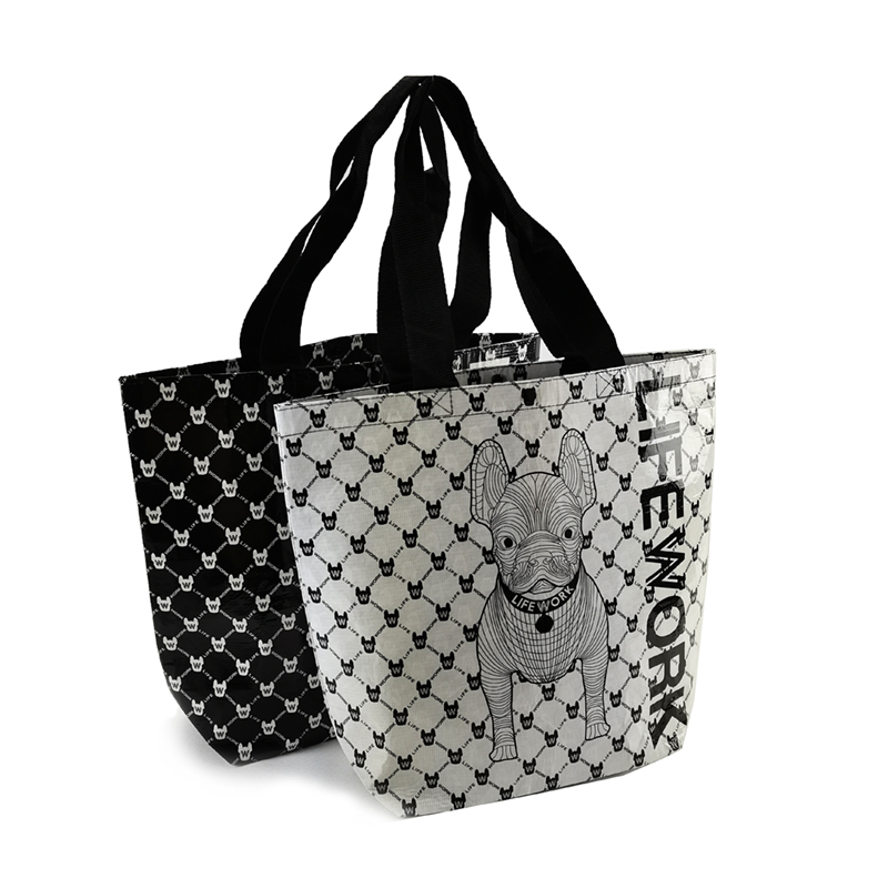 pp woven laminated shopping bag