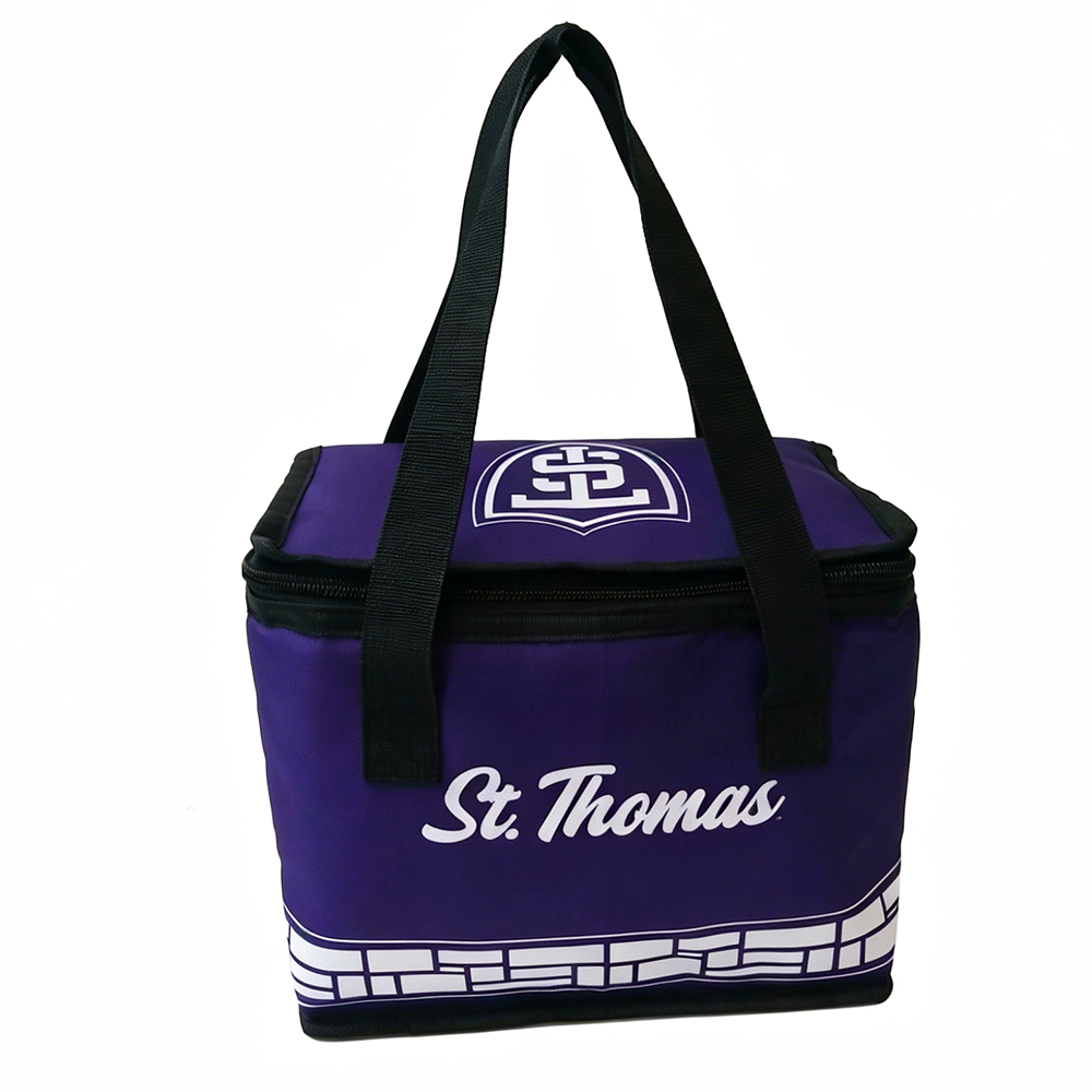 cooler bag for office